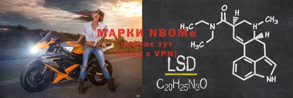 прущие грибы Нягань