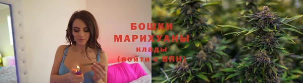 Альфа ПВП Няндома