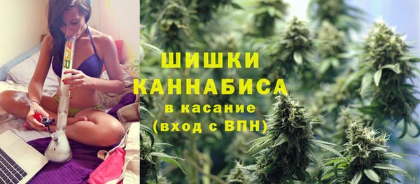 ALPHA-PVP Новозыбков