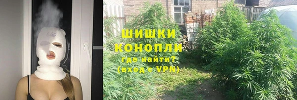 ALPHA-PVP Новозыбков