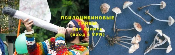 ALPHA-PVP Новозыбков