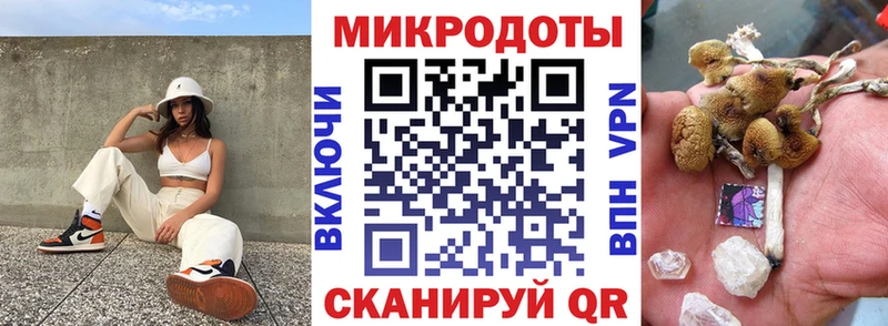 Купить закладки  Льгов  Галлюциногенные грибы Psilocybe 